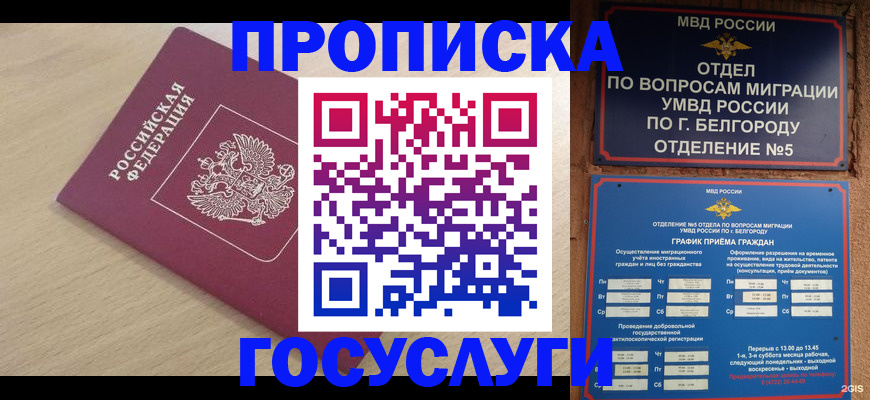 прописка законно в Берёзовском